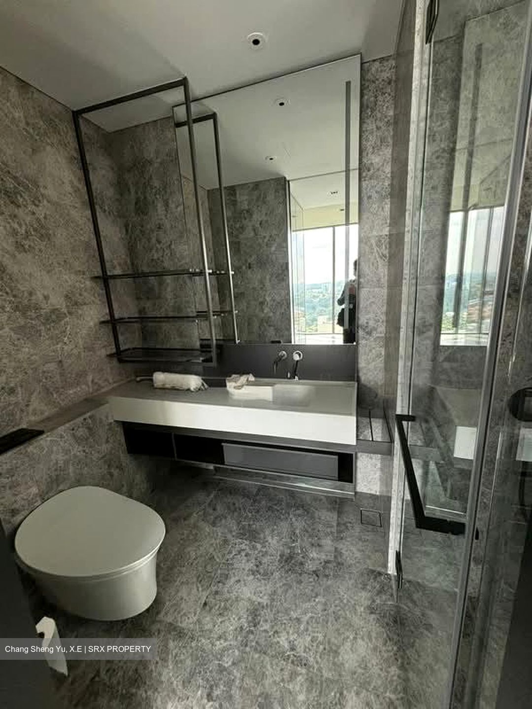 Cuscaden Reserve (D10), Condominium #571786681